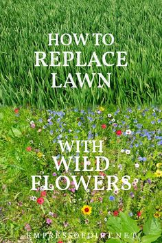 the cover of how to replace lawn with wild flowers