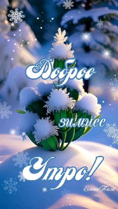 an image of snow on the ground with words above it that says dope suppe