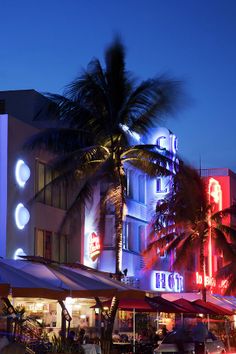 the palm tree is lit up at night in front of a building with neon lights