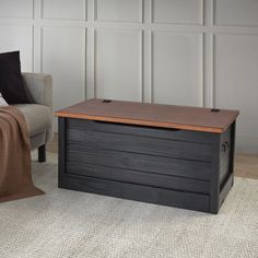 a living room with a couch, chair and storage box on the carpeted floor