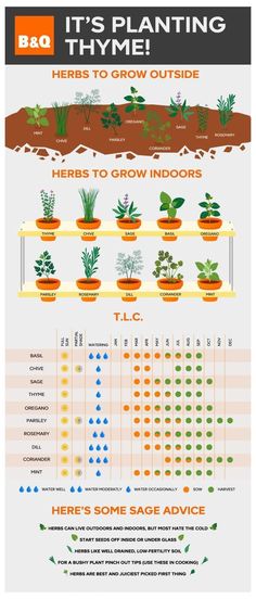 an info sheet with plants growing in pots