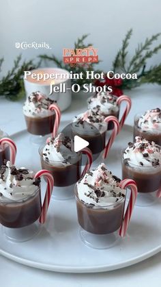 peppermint hot cocoa jell - o shots on a plate with candy canes