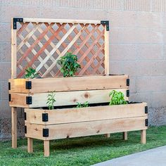 a wooden bench with plants growing on it in front of a brick wall and grass