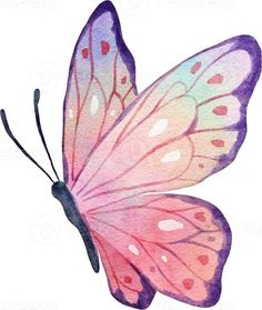 a watercolor painting of a pink butterfly