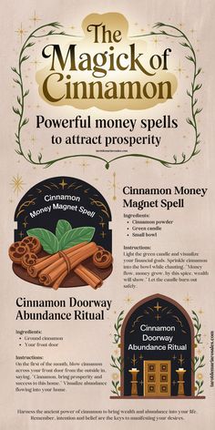 Cinnamon Spells for Money Wicca Recipes, Powerful Money Spells, Money Spells That Work, Witch Rituals, Spells For Beginners, Magia Das Ervas, Wiccan Magic