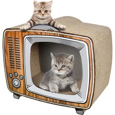 a cat sitting on top of an old tv set with a kitten in the screen