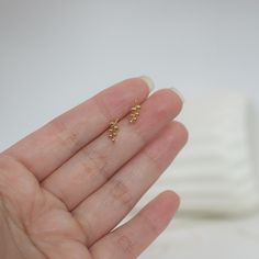 Buy Small Tiny Leaf Studs Earrings Gold Silver Branch Ear Climbers Studs Dainty Olive Branch Stacking Earrings Minimalist Birthday Gift for Her Online in India - Etsy Dainty Yellow Gold Ear Climbers Gift, Dainty 14k Gold Hypoallergenic Ear Climbers, 14k Gold Hypoallergenic Dainty Ear Climbers, Dainty Pierced Ear Climbers As A Gift, Minimalist 14k Gold Ear Climbers As Gift, Minimalist Hypoallergenic Gold Ear Climbers, Delicate Ear Climbers With Ear Wire As Gift, Dainty Ear Climbers With Ear Wire As Gift, Dainty Ear Climbers As Gift