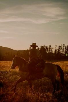 a man riding on the back of a brown horse across a grass covered field at sunset