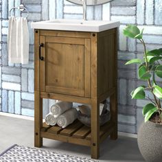 a bathroom with a sink, mirror and towel rack next to a potted plant