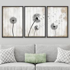 three dandelions are hanging on the wall above a couch