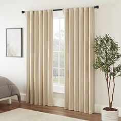 a living room with a large window covered in beige curtains and a white rug on the floor