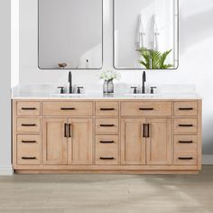 a bathroom vanity with two mirrors above it and a plant on the counter in front of it