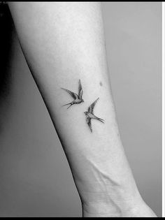 two birds flying in the air with their wings spread out and one bird is on the other side of the arm