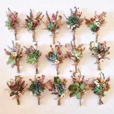 a bunch of succulents are arranged on a wall