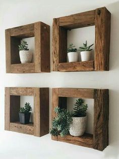 three wooden square shelves with plants on them