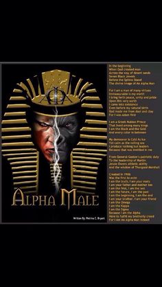 an advertisement for the album,'alpha maee'by various african music artists