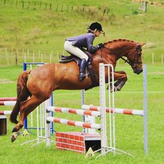 a woman riding on the back of a brown horse jumping over an obstacle in a field