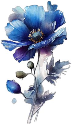 a blue flower on a white background with watercolor paint effect applied in photoshop