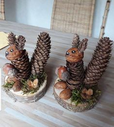 two small pine cones sitting on top of a wooden table