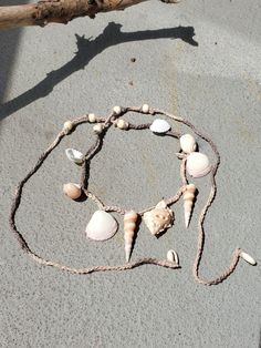 seashells are arranged in a circle on the ground next to a piece of driftwood