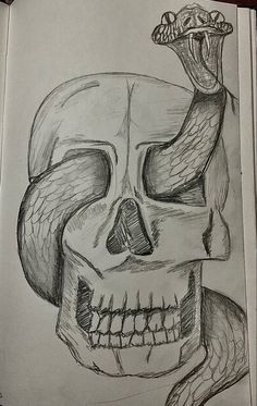 a drawing of a skull with a snake on its head