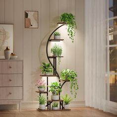 a spiral plant stand with potted plants on it's sides in a living room