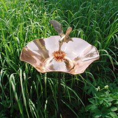 a bird is perched on top of a flower in the middle of some tall grass