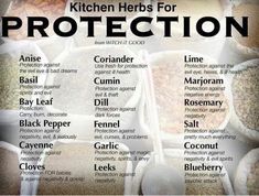 Herbs For Protection, Kitchen Witchery, Kitchen Herbs, Witchcraft Spell Books