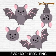 three bats on a branch with different expressions