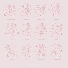 zodiac signs and their meanings in pink on a light pink background with stars, moon, and flowers