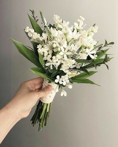 a hand holding a bouquet of white flowers