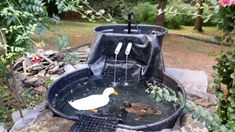 two ducks are in the water near a pond with a mesh fence around it and some plants