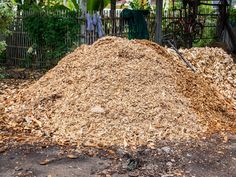 Most people consider sawdust to be little more than the garbage waste left over after a tree removal, but it actually has a ton of uses around the garden. Find out more about how you can use sawdust in the garden here. rnrn#gardening #sawdust #gardentip #gardenhack