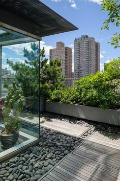 an outdoor area with rocks and plants in the foreground, surrounded by high rise buildings