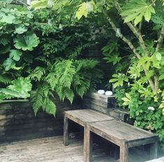 a wooden bench sitting next to a lush green forest