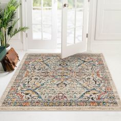 a large rug with an ornate design in front of a door and potted plant