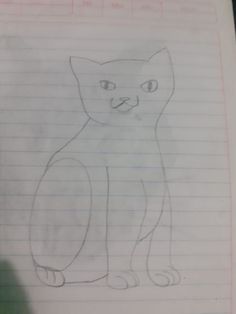 a drawing of a cat on lined paper