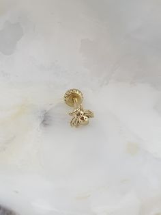 Labret Piercing Tragus Stud 14k solid gold Stud Length - 5mm. Gauge - 16g - 1.2mm Options Stud - 6mm-7mm-8mm-10mm Dainty 14k Gold Jewelry With Screw Back, Gold Screw Back Jewelry For Gifts, Yellow Gold Screw Back Piercings For Gifts, Yellow Gold Screw Back Piercings As Gift, Single 14k Yellow Gold Cartilage Earring, 14k Gold Screw Back Jewelry, 14k Gold Screw Back Jewelry Gift, Gold Internally Threaded Piercings For Anniversary, 14k Yellow Gold Pierced Cartilage Earrings