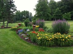 a garden filled with lots of different types of flowers