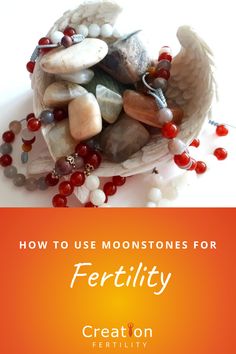 Fertility Magic, Crystals Witchcraft, Sun Potion, Fertility Crystals, Pregnancy Period, Positive Intentions, Fertility Health, Crystals Gems, Broccoli Sprouts