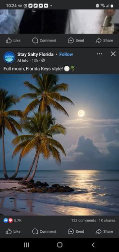 an image of two palm trees on the beach at night with moon and clouds in the background