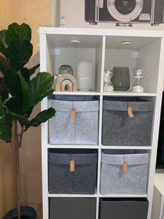 a white bookcase filled with gray and grey bins next to a potted plant