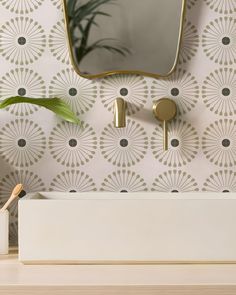 a bathroom sink with a mirror above it and a plant on the wall behind it