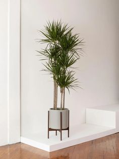 a potted plant sitting on top of a white shelf next to a wooden floor