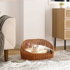 a white cat laying in a wicker bed on the floor next to a chair