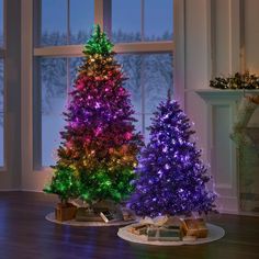 two brightly lit christmas trees in front of a window