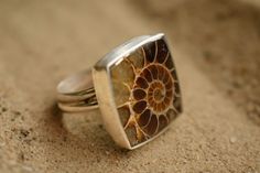 Ammonite Fossil Sterling Silver Ring - Etsy Ammonite Jewelry, Aries Aesthetic, Fossil Ring, Piercing Inspo, Ammonite Fossil, Setting Ideas, Agate Earrings, Funky Jewelry, Shiny Things