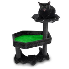 a black cat sitting on top of a green scratching post in front of a white background