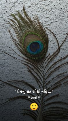 there is a peacock feather on the ground with a smiley face in front of it