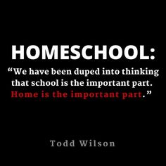 a quote from todd wilson about homeschool that reads, we have been dug into thinking that school is the important part